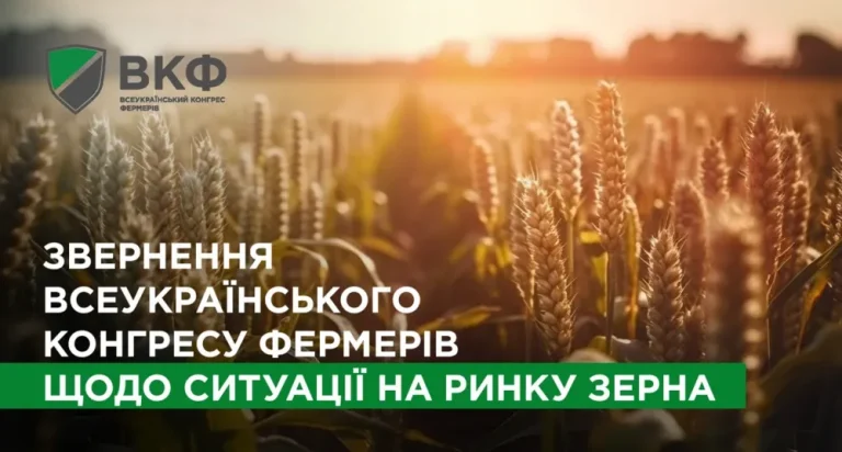 Фермери б’ють на сполох: дефіцит зерносховищ загрожує врожаю