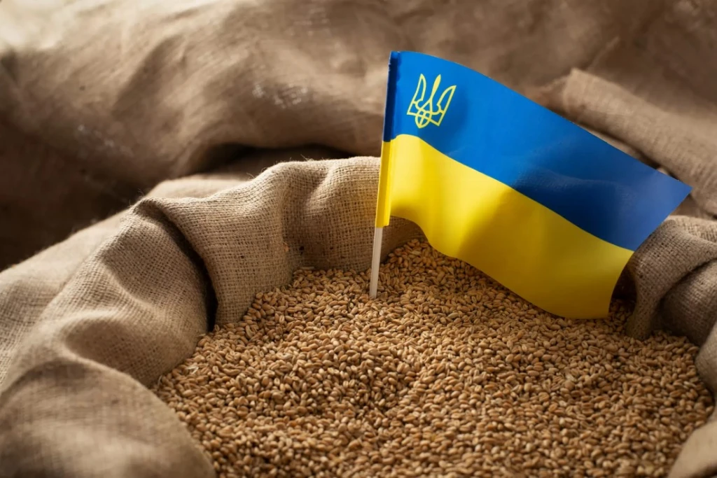 Україні потрібне обладнання для зберігання зерна: звернулись по допомогу до США