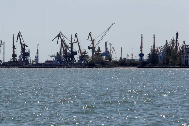 Міністерство аграрної політики та продовольства України звернулося до Єврокомісії щодо екстреної допомоги для українських фермерів через блокаду портів