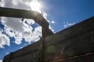 Агробізнес: лідери за виручкою 2026